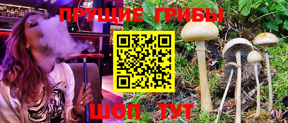 наркошоп  Галлюциногенные грибы ЛСД  Вход с VPN  Красноярск 